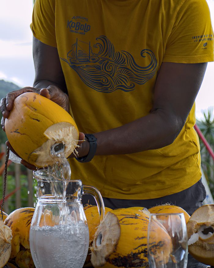 Fresh king coconut water being poured from the nut into a jug