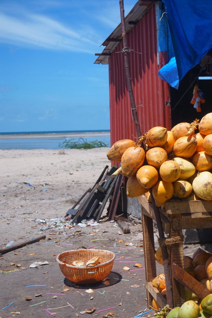 A roadside stall selling king coconuts