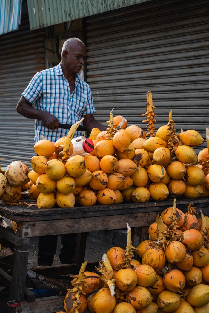 A vendor beside a tall stack of king coconuts